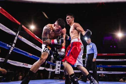 Ảnh boxing đẹp chất miễn phí