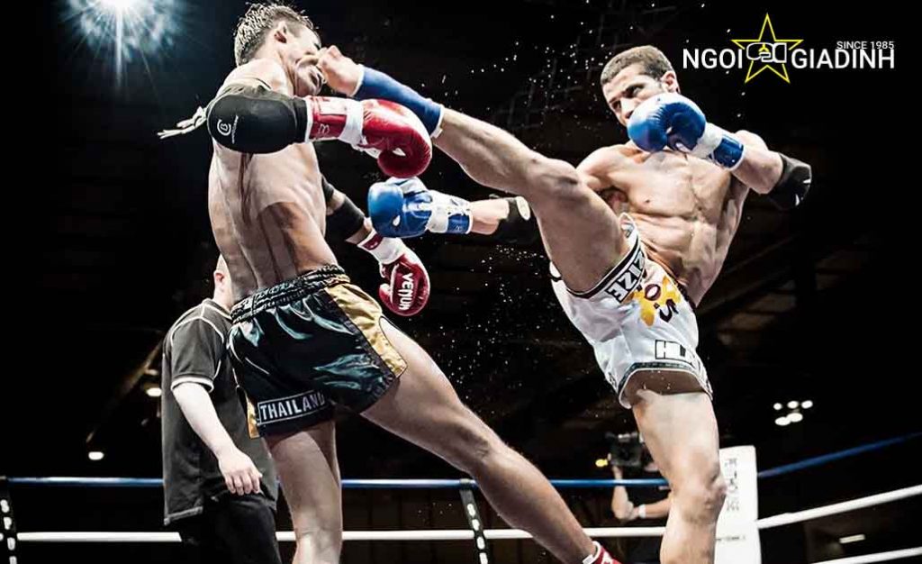 Điểm khác biệt kickboxing và muay thái