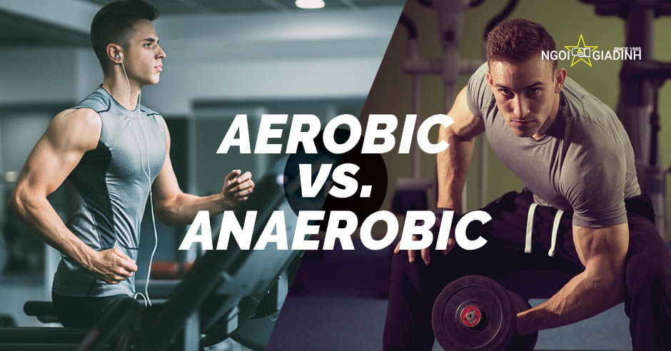 Aerobic và Anaerobic là gì