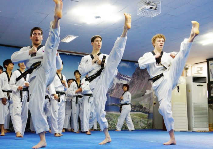 Taekwondo có bao nhiêu hệ phái